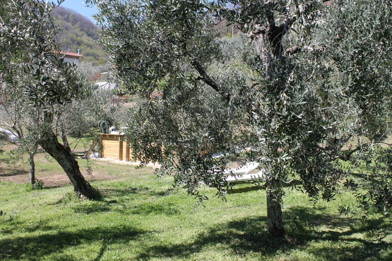 Shaleo Holiday Home Marliana Exteriér fotografie