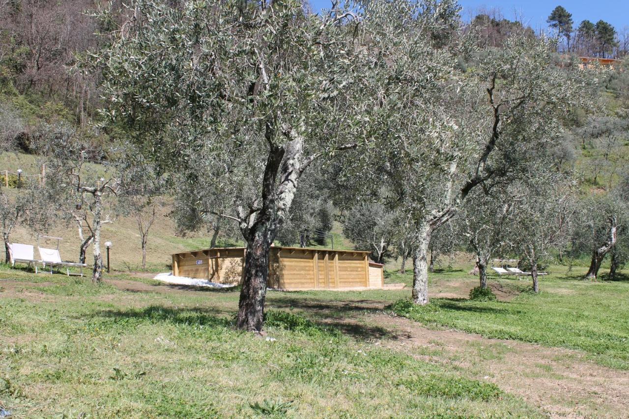 Shaleo Holiday Home Marliana Exteriér fotografie